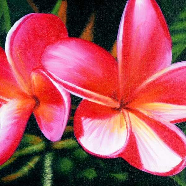 絵画 バリ絵画 アートフラワー12940 花 プルメリア フランジパニ パネルアート モダンアート アートフレーム 壁掛け 壁飾り |  | 01