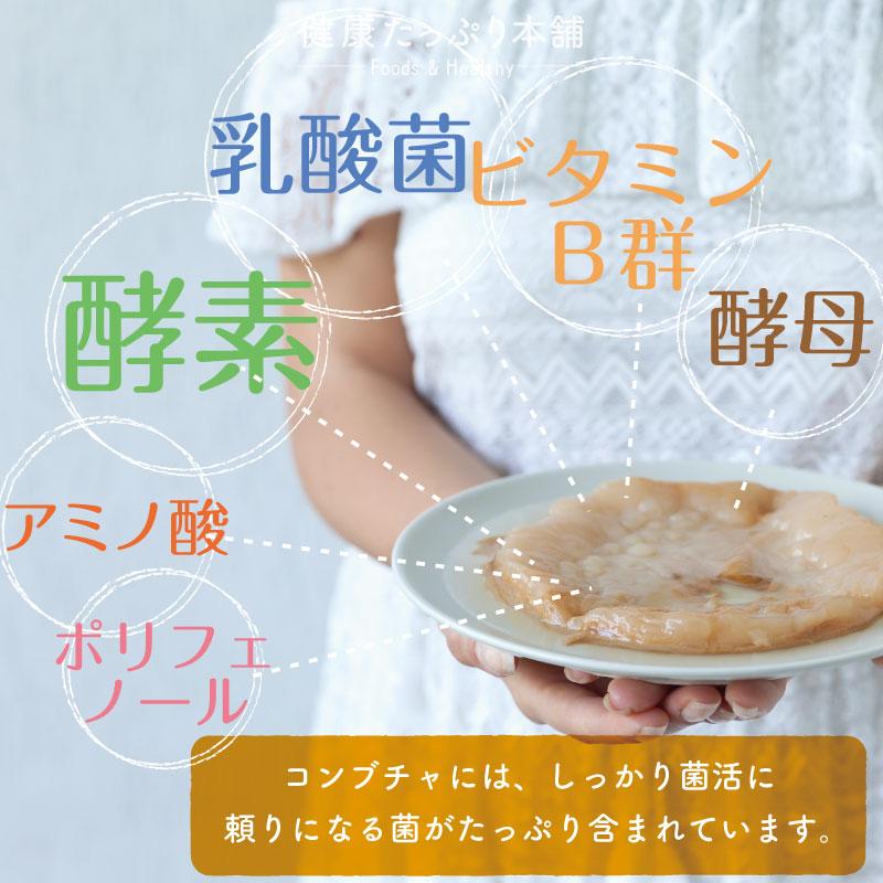 健康たっぷり本舗 ダイエットサプリ ダイエット コンブチャ 酵母 酵素