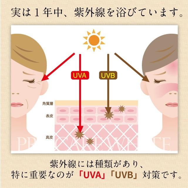 飲む日差し対策サプリ プロケアホワイト60粒×4袋 健康たっぷり本舗 真夏の透明感にアプローチ プロケアホワイト 60粒