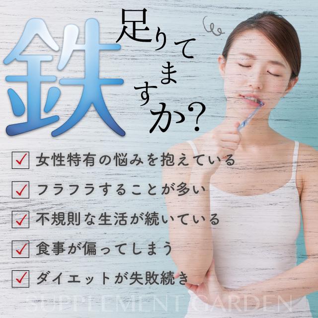 ヘム鉄 サプリ 鉄分 サプリメント 鉄サプリ 鉄 大容量 高配合 約６ヶ月分 活力 マルチビタミン ミネラル カルシウム ローヤルゼリー 日本製 | サプリメントガーデン | 01