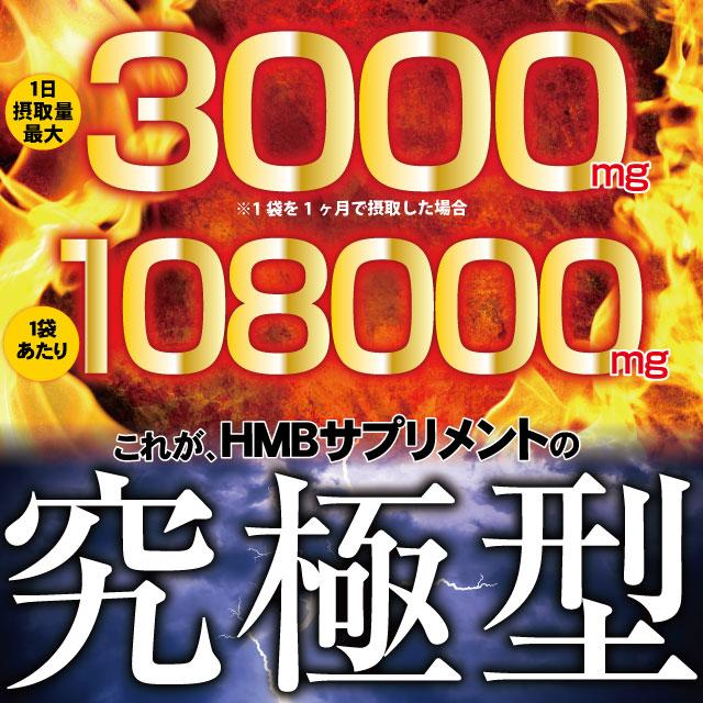 HMB サプリ サプリメント ダイエット アミノ酸 高配合 108000mg 大容量 約６ヶ月分 筋トレ トレーニング エクササイズ ボクシング 筋肉 ネコポス 送料無料｜begrace｜02