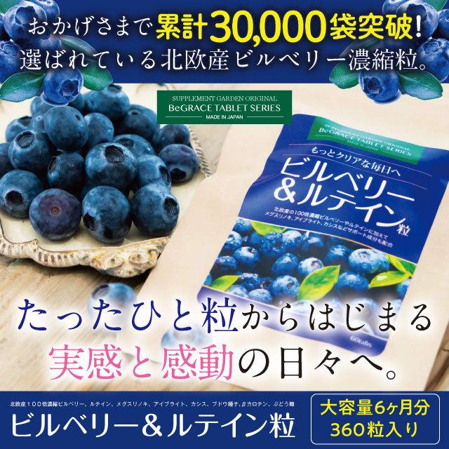 ビルベリー サプリ サプリメント ルテイン ブルーベリー 約６ヶ月分 北欧産 アントシアニン ポリフェノール アイブライト ネコポス｜begrace｜02