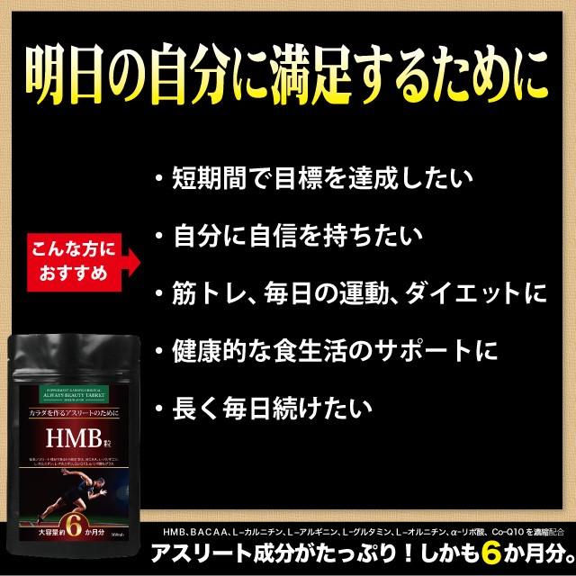 サプリメントガーデン Hmb粒 大容量 約６ヶ月分 Hmb Bcaa アルギニン カルニチン Aリポ酸 筋トレ サプリ Sg Hmb 1 サプリメントガーデン Yahoo 店 通販 Yahoo ショッピング