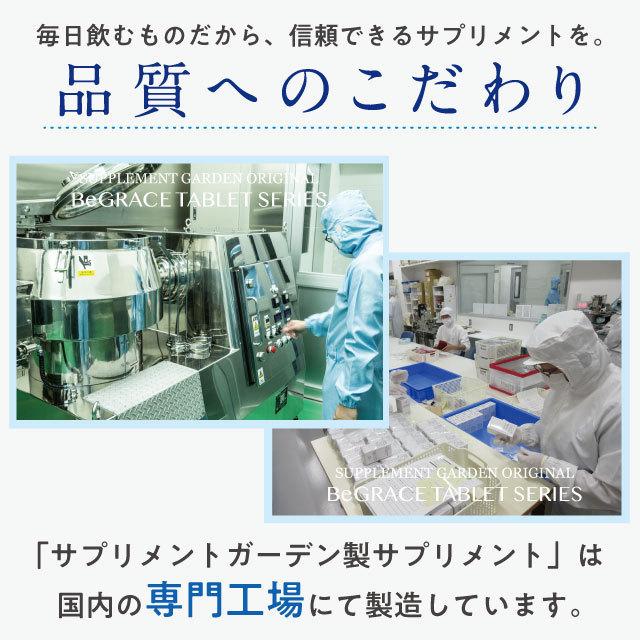 ヘム鉄 サプリ 鉄分 サプリメント 鉄サプリ 女性 鉄  高配合 約１ヶ月分 ヘム鉄750mg ビタミン ミネラル カルシウム サプリメント 日本製 | サプリメントガーデン | 04