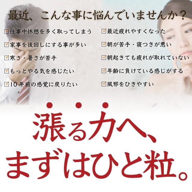 ヤフオク専用 高麗人参 サプリ 朝鮮人参 長期熟成 約6ヶ月分 ゆう