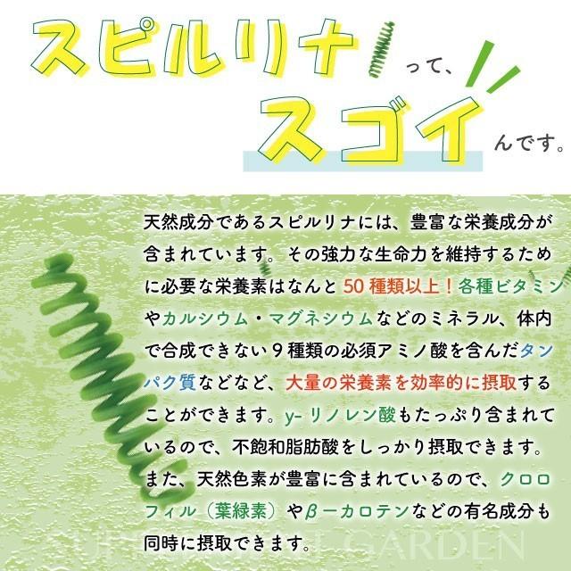 サプリ サプリメント スピルリナ & ラクトフェリン 粒 大容量 約6ヶ月分 スーパーフード 野菜不足 ネコポス｜begrace｜03