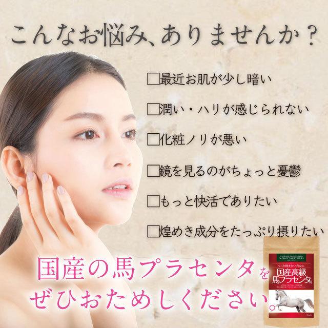ヤフオク専用 馬プラセンタ サプリ 生換算36000mg 国産 ホース