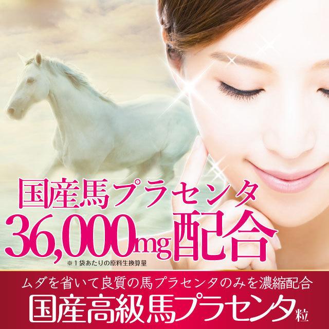 ヤフオク専用 馬プラセンタ サプリ 生換算36000mg 国産 ホース
