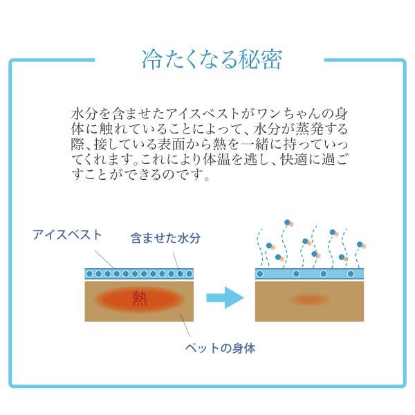 アイスベスト　ＸＬ　｜behatu｜02