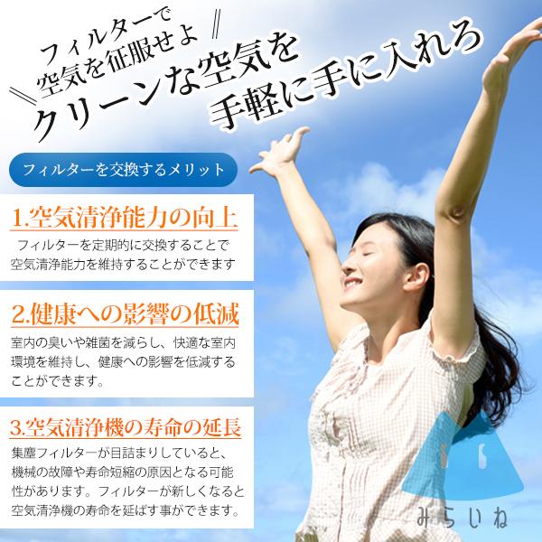 12枚】 富士通ゼネラル対応 PLAZION 集じん機能付脱臭機 フィルター