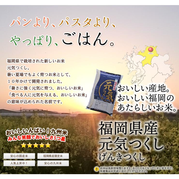 令和7年産】10kg 研ぐお米 福岡の新しいお米「元気つくし」5kg×2 送料 