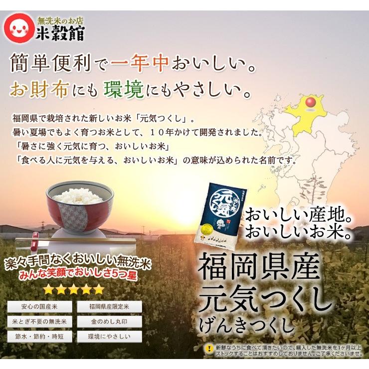 2kg 無洗米 送料無料 福岡県産 元気つくし めし丸印 令和6年産 : 無