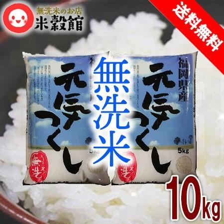 令和7年産】10kg 無洗米 福岡の新しいお米「元気つくし」5kg×2 送料