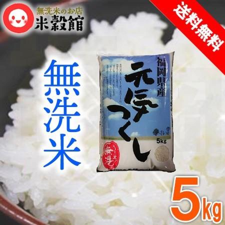 5kg 無洗米 福岡の新しいお米「元気つくし」 送料無料 一般米 5kg 無洗米 福岡の新しいお米「元気つくし」 送料無料 一般米
