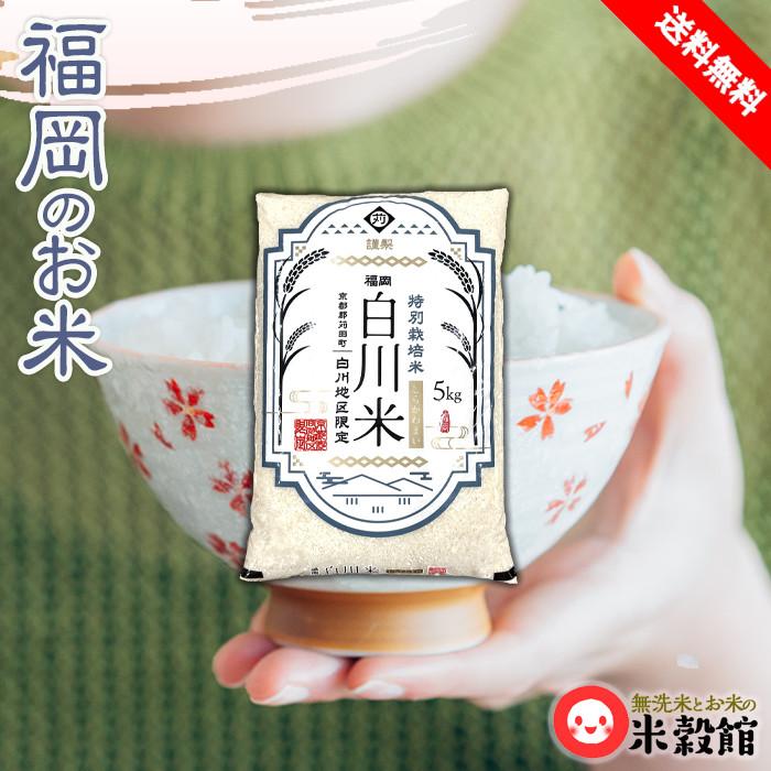 令和7年産 福岡県産 夢つくし 研ぐお米のみ 『白川米』 特別栽培米