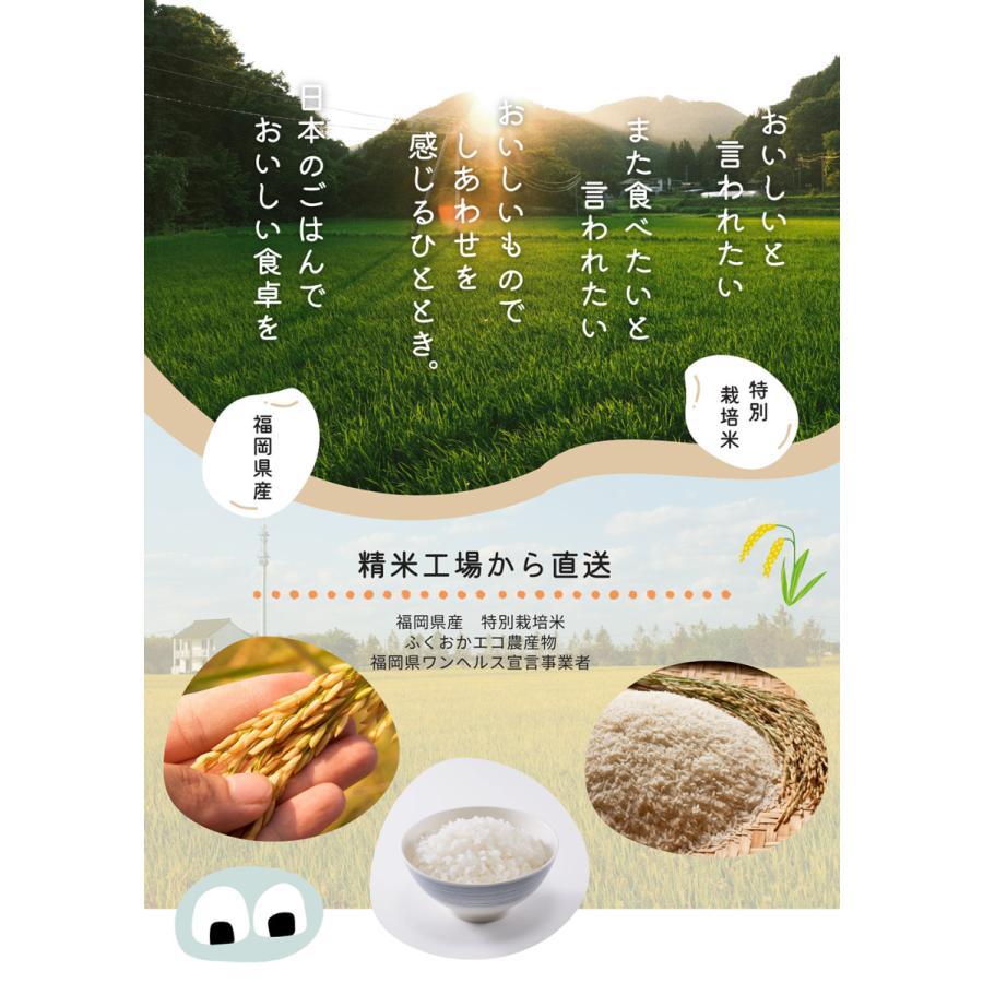 令和7年産 福岡県産 夢つくし 研ぐお米のみ 『白川米』 特別栽培米