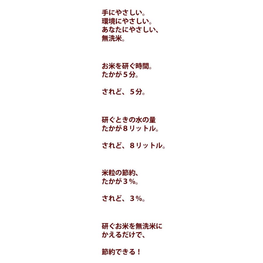 米2kg 無洗米 送料無料 九州 国内産10割 送料無料 わけあり 訳あり アウトレット 2キロ お試し むせんまい 日時指定不可｜beikokukanyh｜02