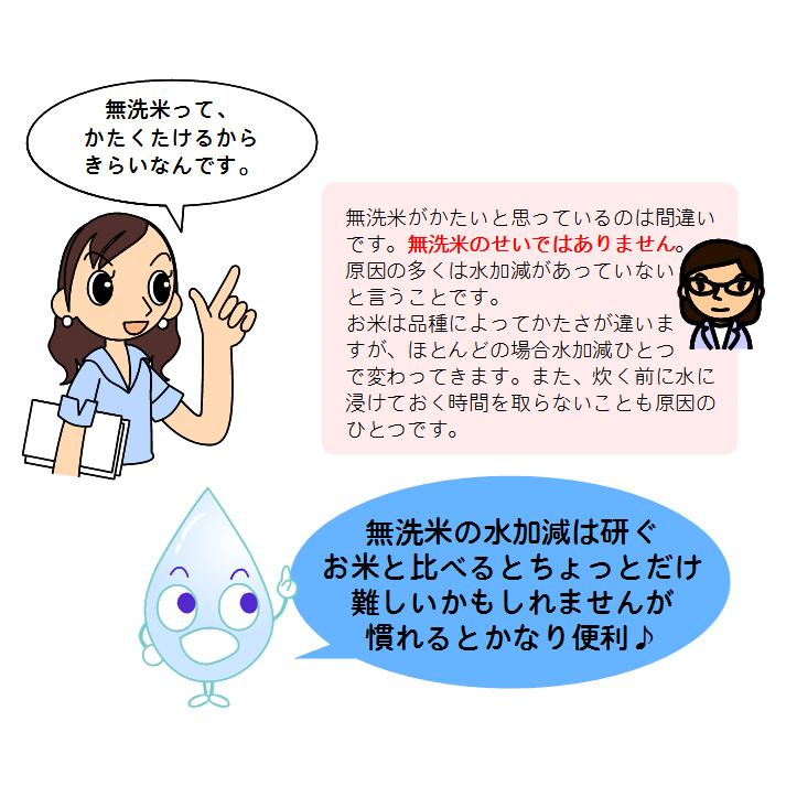 米 2kg 無洗米 送料無料 九州産「心」 おためし レターパックなどで発送します｜beikokukanyh｜05