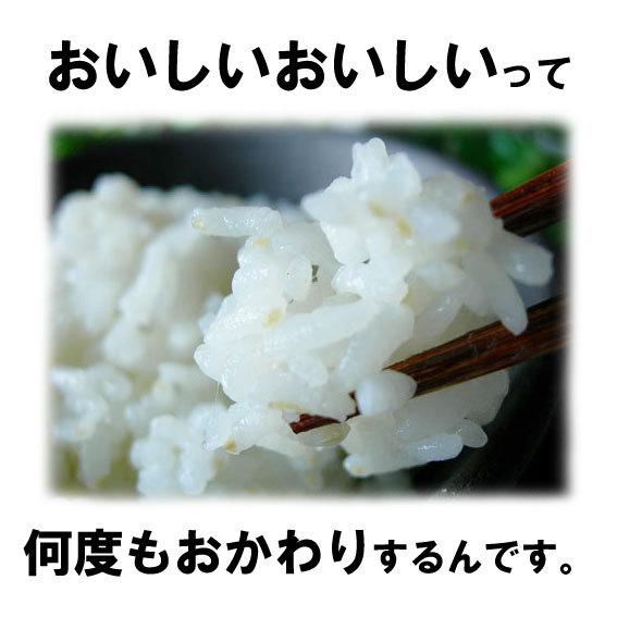 4kg 無洗米 一般の白米より栄養ぎっしり米の力 九州産 2kg×2個 送料無料｜beikokukanyh｜02
