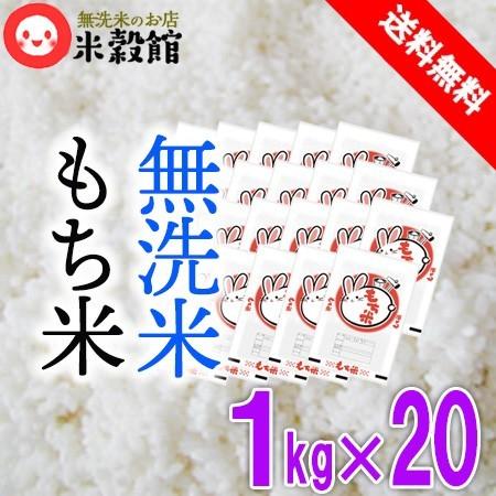 令和7年産 もち米20kg (1kg×20) 無洗米 小分け 送料無料 九州産 餅米