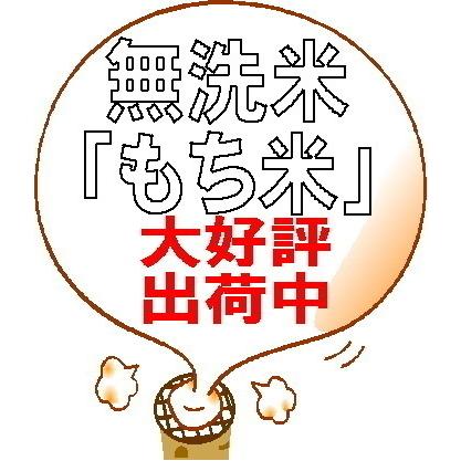 令和7年産 もち米15kg 約10升 (2升×5袋) 無洗米 もち米(3kg×5個セット