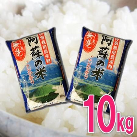 令和6年産 米10kg 特別栽培米 熊本・阿蘇のコシヒカリ 無洗米 5kg×2 