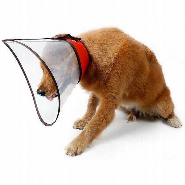 エリザベスカラー 大型犬 カラー ソフトタイプ ペット用品 犬用 傷舐め防止 手術後のケア 簡単装着 首周り柔らかい アフターケア 手術 怪我 介護 エリザベスカラー サイズ Xxxl Canipec Org Mx