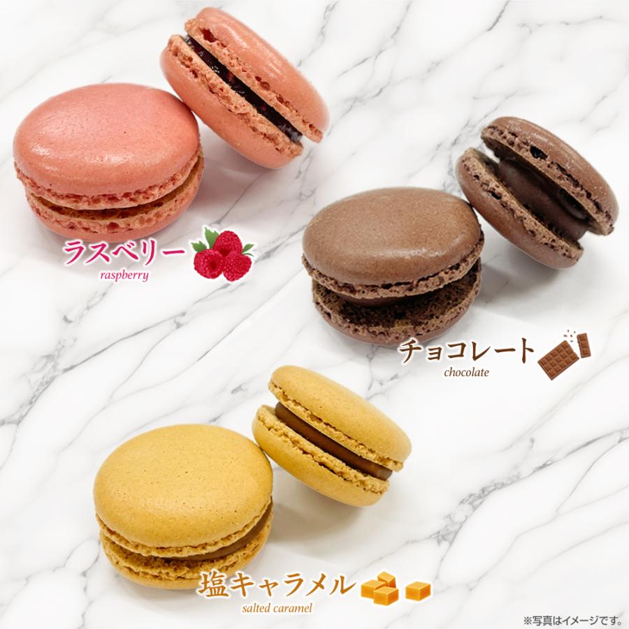 フランス Mag'm（マグム）マカロン12個入×2箱セット| 冷凍 : ベイシア ヤフーショップ - 通販 - Yahoo!ショッピング