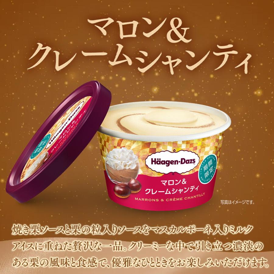 2025 冬ギフト】ハーゲンダッツ リッチスイートギフト | アイス