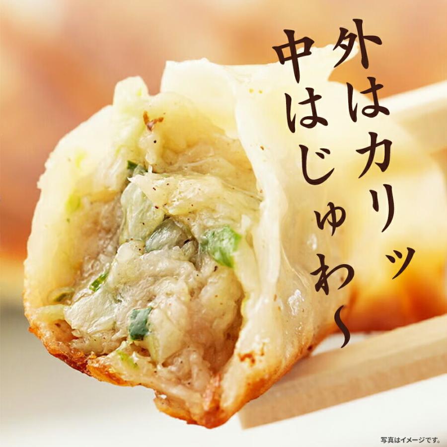 宮崎の人気ラーメン・餃子専門店「屋台骨」 冷凍餃子 251g(餃子 宮崎の人気ラーメン・餃子専門店「屋台骨」 冷凍餃子 251g(餃子