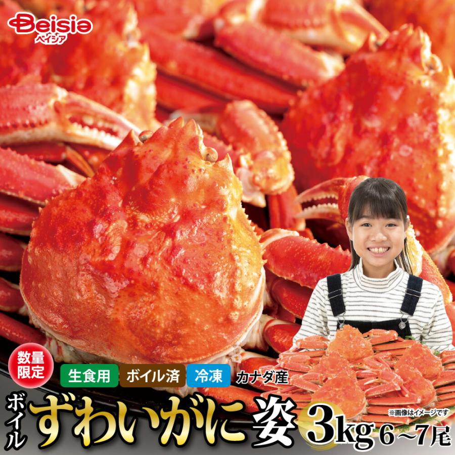冷凍ボイル　本ズワイガニ6尾/総重量3kg ボイル ずわいがに 姿 3kg（6〜7尾） | ボイルずわいがに 3kg