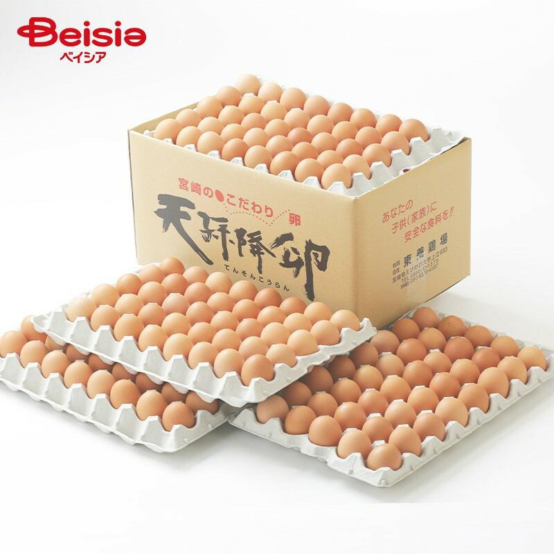 東養鶏場 天孫降卵 約10kg（175個）M 業務用 | 東養鶏場 卵 訳あり 産地直送 卵かけご飯 卵焼き 卵料理 美味しい卵 新鮮卵 栄養満点 こだわり卵（Yahoo!・ベイシア ヤフーショップ）