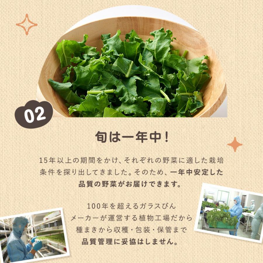 日本山村硝子 きらきらベジお試しセット葉物野菜15パック | 野菜セット