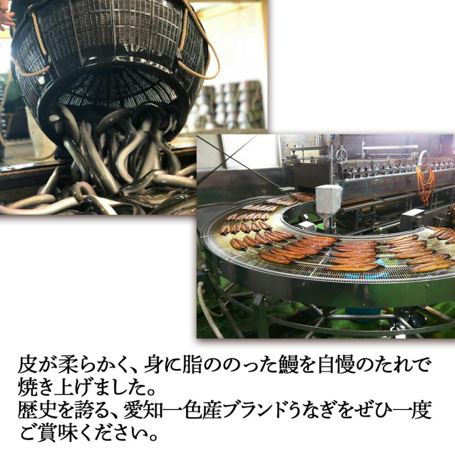 一色うなぎ漁業 一色産うなぎ 無頭130g 蒲焼パック 5尾セット | うなぎ 蒲焼き 国産 一色産 5尾 セット 土