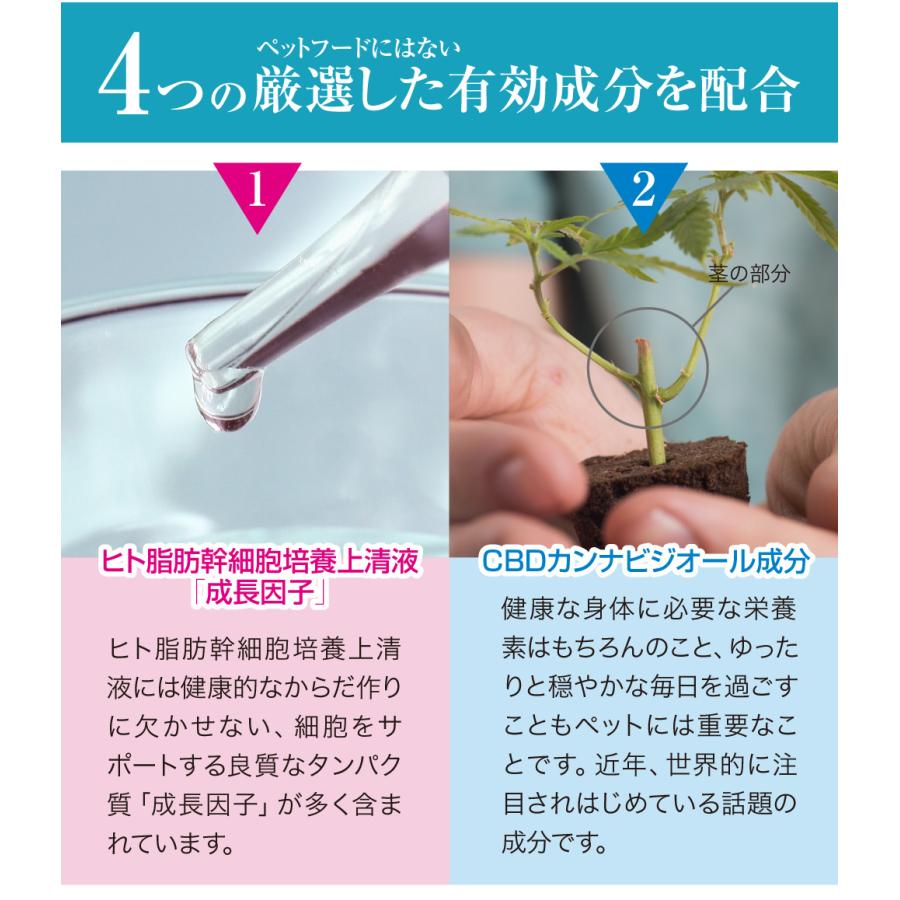 Dr.ST リライフ・ワン プラス 幹細胞由来「成長因子」配合 犬猫