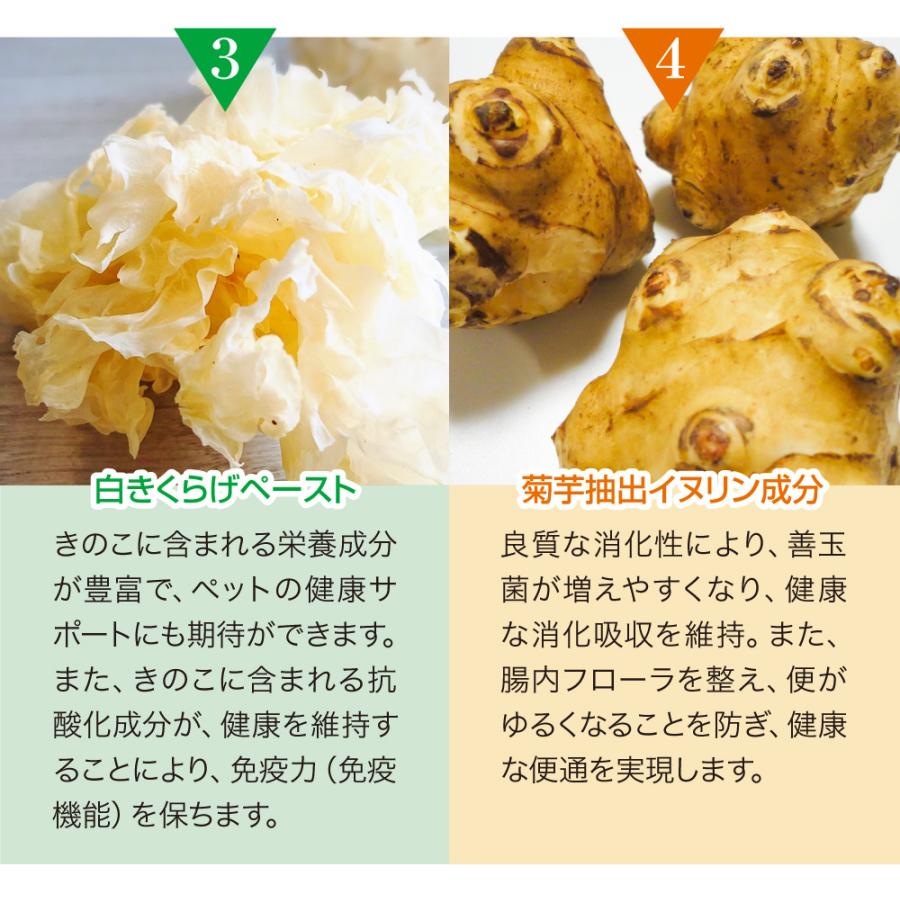 Dr.ST リライフ・ワン プラス 幹細胞由来「成長因子」配合 犬猫