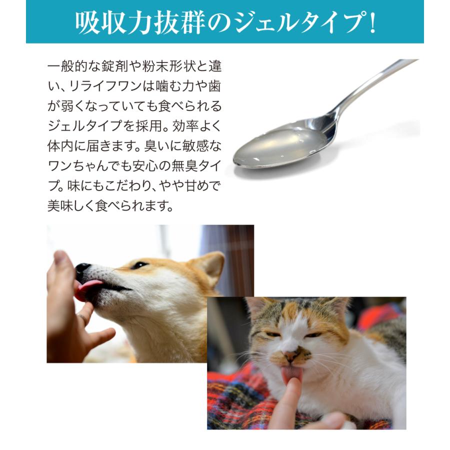 Dr.ST リライフ・ワン プラス 幹細胞由来「成長因子」配合 犬猫