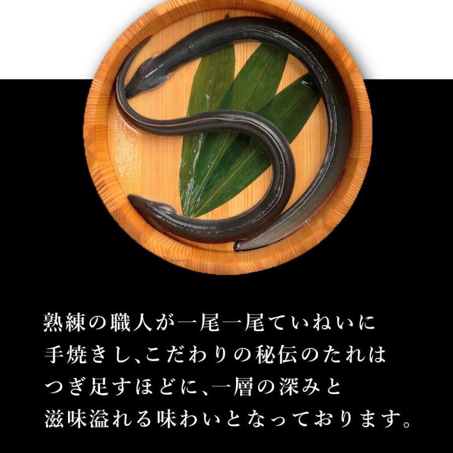 浜名湖名物 鰻わっぱ飯（5個入り） | 鰻 わっぱ飯 浜名湖 名物 うなぎ 