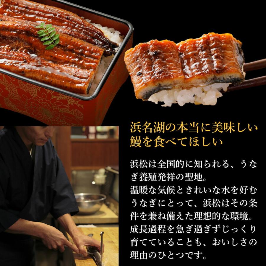 浜名湖名物 鰻わっぱ飯（5個入り） | 鰻 わっぱ飯 浜名湖 名物 うなぎ 