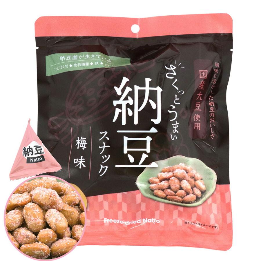 ヤマダフーズ さくっとうまい 納豆スナック 梅味 42g（約15袋入）×3袋