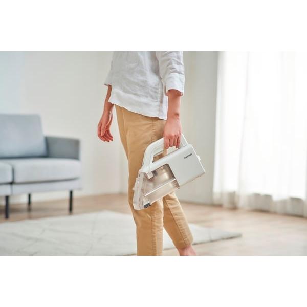 IRIS OHYAMA（アイリスオーヤマ） ハンディリンサークリーナー グレー