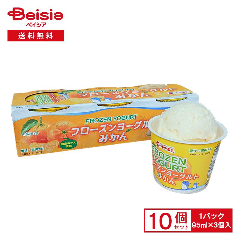中央製乳 フローズンヨーグルトみかん (95ml×3)×10個 中央製乳 フローズンヨーグルトみかん (95ml×3)×10個