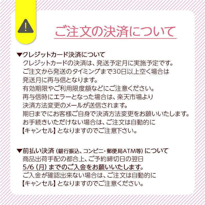 母の日 デンドロビウム 4号鉢 ファイヤーバード イエロー オレンジ 送料無料 807-38 | 花 ギフト鉢植え プレゼント 2024 母の日ギフト｜beisia｜04