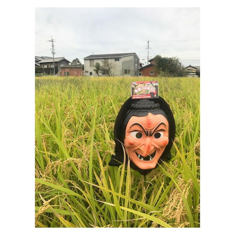 龍宝丸 鳥追いばあさん K−014 園芸用品 忌避商品 防鳥用品