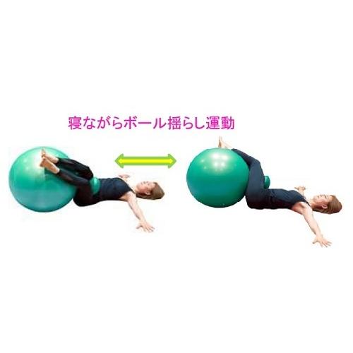 ビーバルーン BeeBalloon 家トレ TWINS ツインズ 55cm エクササイズボール 有酸素運動 筋トレ ストレッチ 腹筋 POPなBee運動 BBL-003｜beisiadenki｜06