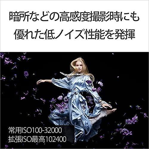 【希少品】 ソニー ミラーレス ILCE-7RM3A ボディ デジタルカメラ SONY α7R3A 【XUR4559749045】(159500円)