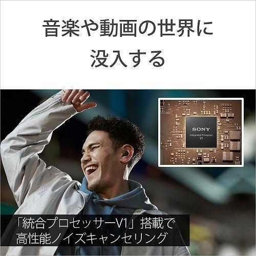 ソニー イヤホン LinkBuds S ワイヤレス Bluetooth 両耳 マイク 防滴  WF-LS900N CCの画像
