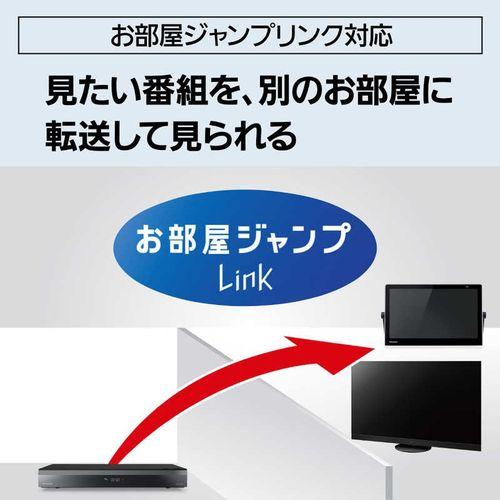 PAL ZILERI（パルジレリ） ブルーレイディスクレコーダー DIGA
