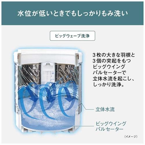 Panasonic（パナソニック） 洗濯機 6kg NA-F6B5-C 全自動洗濯機 ライト