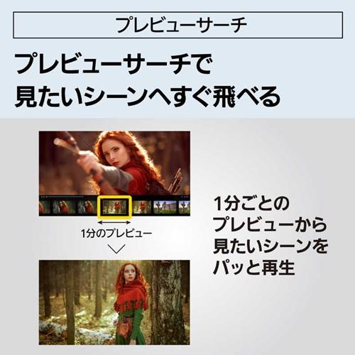ブルーレイディスクレコーダー 3TB 4Kチューナー内蔵ディーガ パナソニック DMR-4T305_6